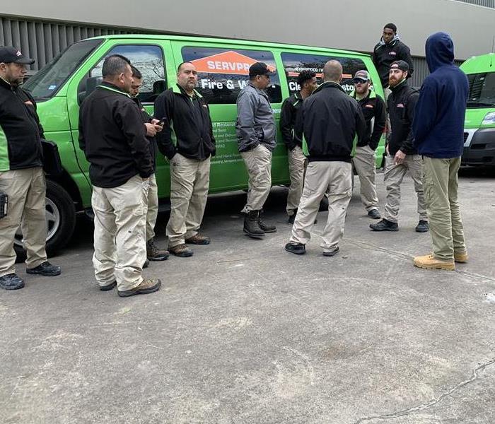men standing around green vans